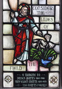Consider the Lilies of the Field