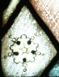 St. Anthony of Padua Flower Detail