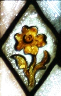 St. John the Baptist Flower Detail