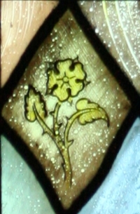 St. Rose of Lima Flower Detail