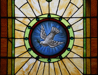 Dove of Peace close-up