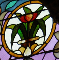 Tulip Window close-up