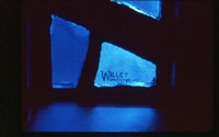Willet Window